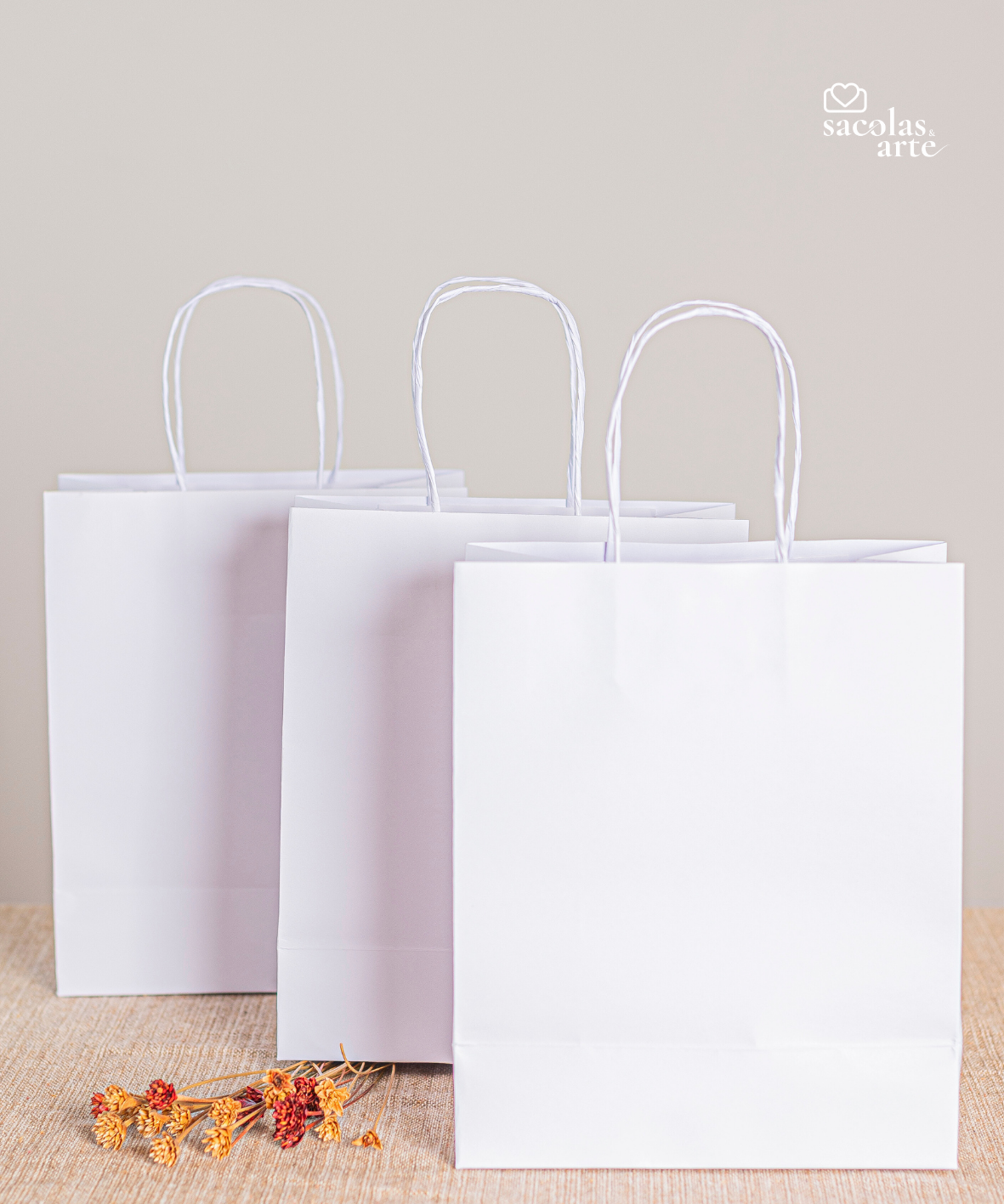 Sacola de Papel Lisa - 18x09x22
